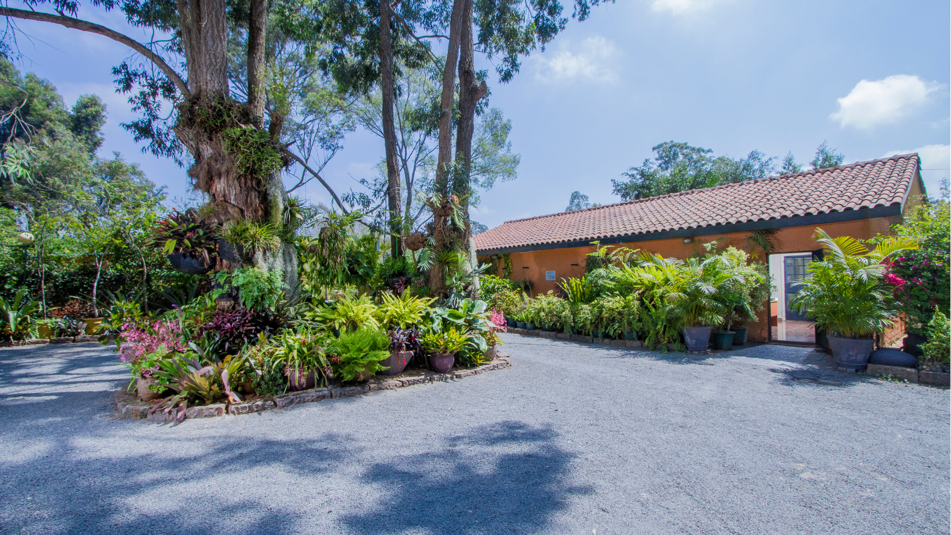 Botanica offices and nursery beds under mature trees