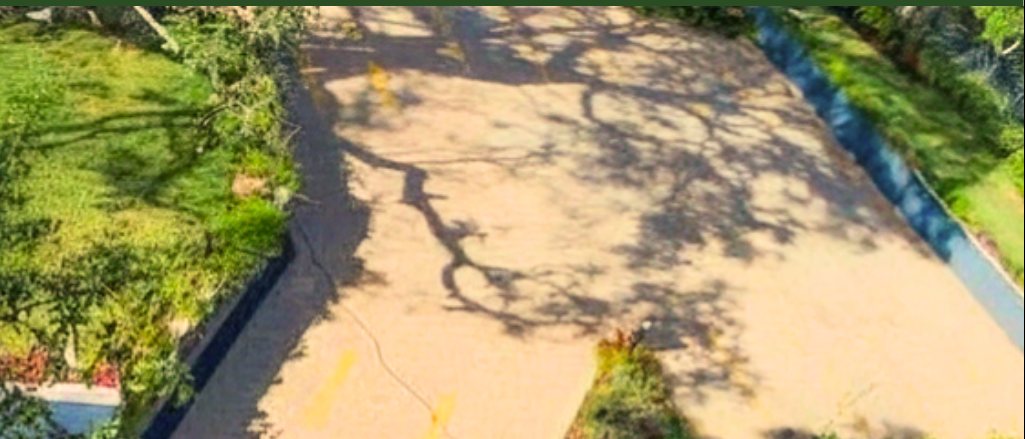 Commercial grounds with planted borders and paved driveway