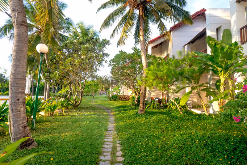 Hotel garden with large urns and cycads