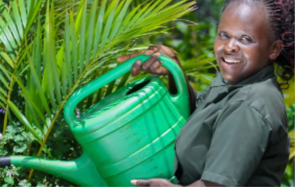 Botanica gardener watering palms